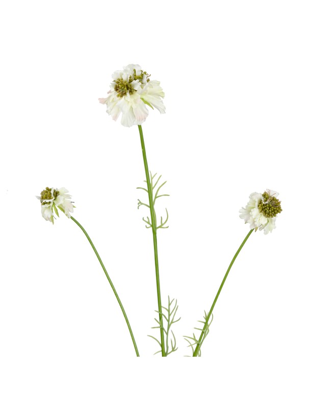 77CM SCABIOSA SPRAY WHITE