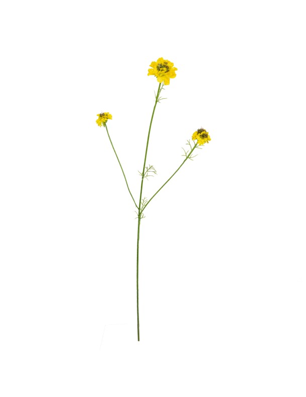 77CM SCABIOSA SPRAY YELLOW