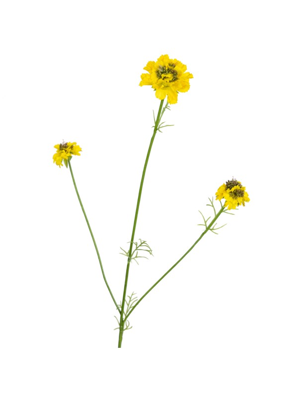 77CM SCABIOSA SPRAY YELLOW