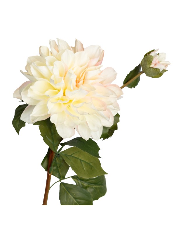 65CM DAHLIA SPRAY CHAMPAGNE