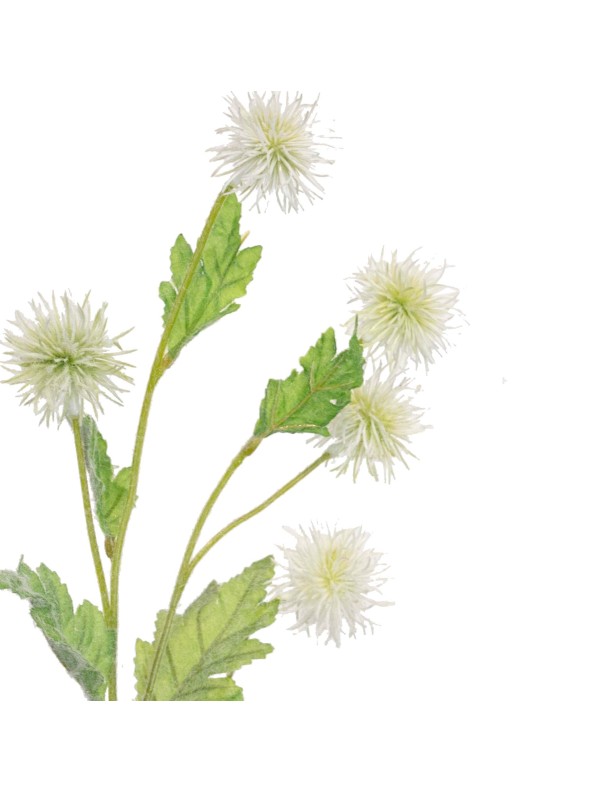 71CM SPINY POD SPRAY WHITE