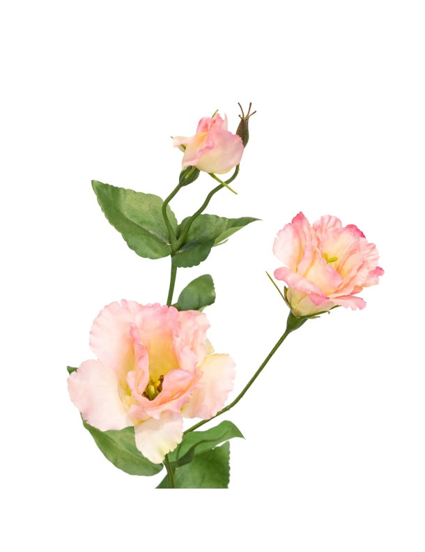 82CM EUSTOMA SPRAY PINK