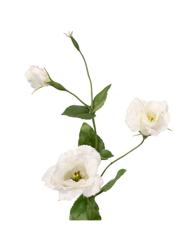 82CM EUSTOMA SPRAY WHITE