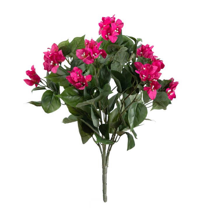 51CM BOUGAINVILLEA BUSH