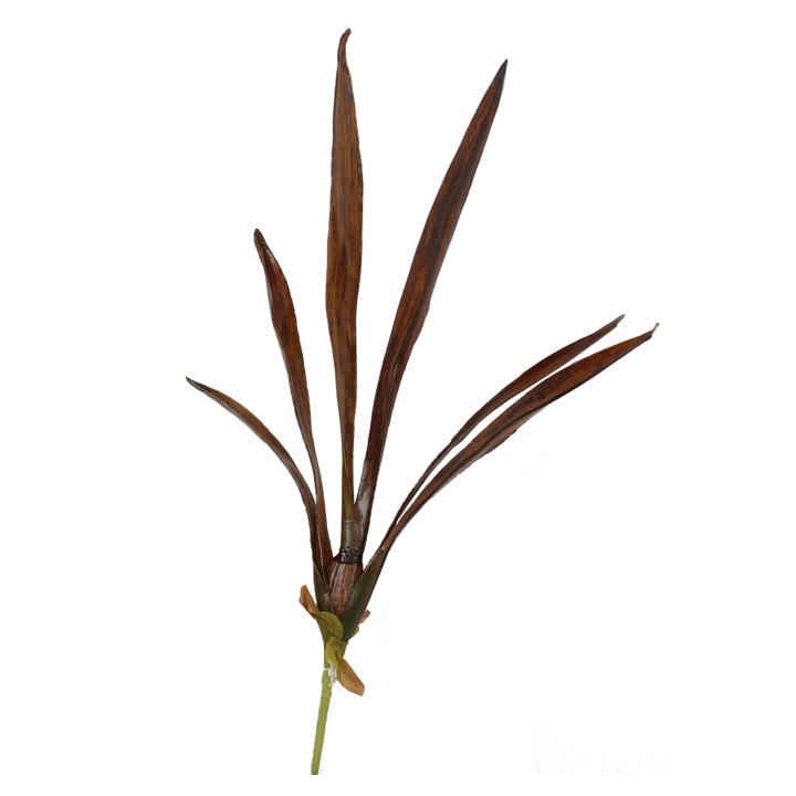 72CM OCIDIUM LEAF SPRAY