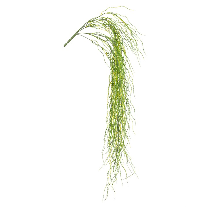 95CM SENECIO HANGING SPRAY