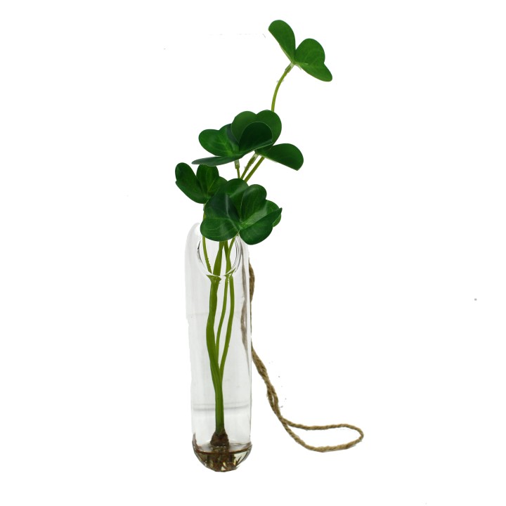 24CM SUCCULENT IN GLASS TUBE