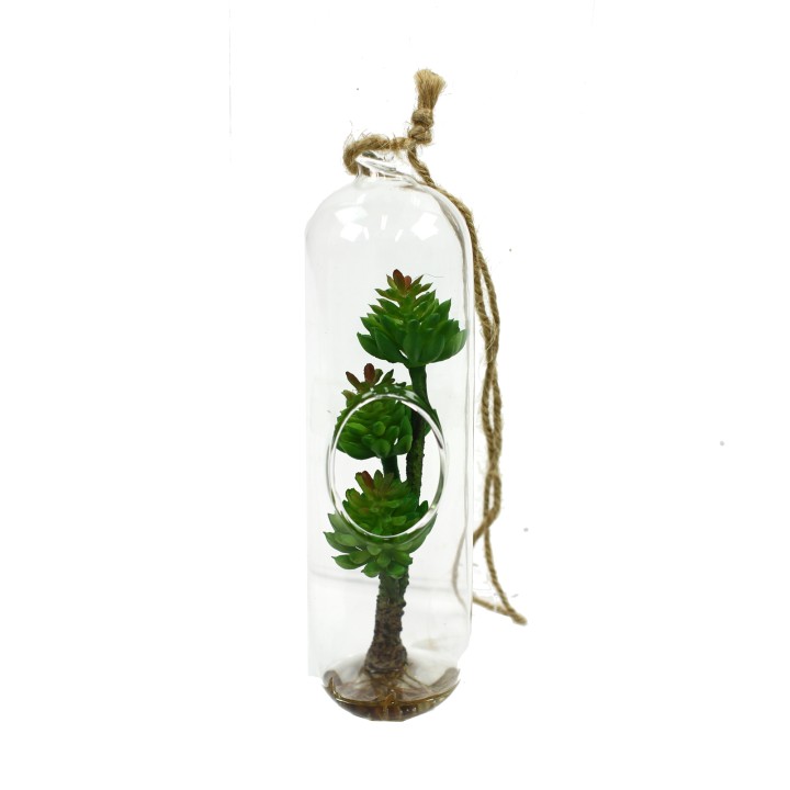 17CM SUCCULENT IN GLASS TUBE