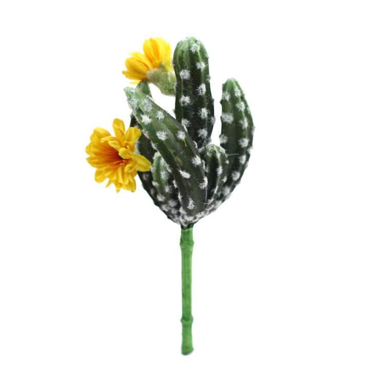 21CM SAN PEDRO CACTUS PICK