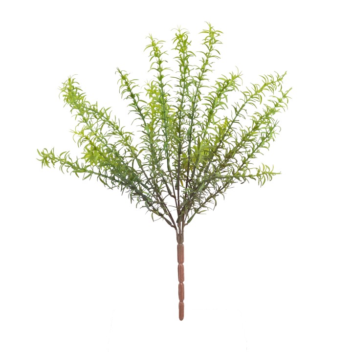 45CM ROSEMARY BUSH
