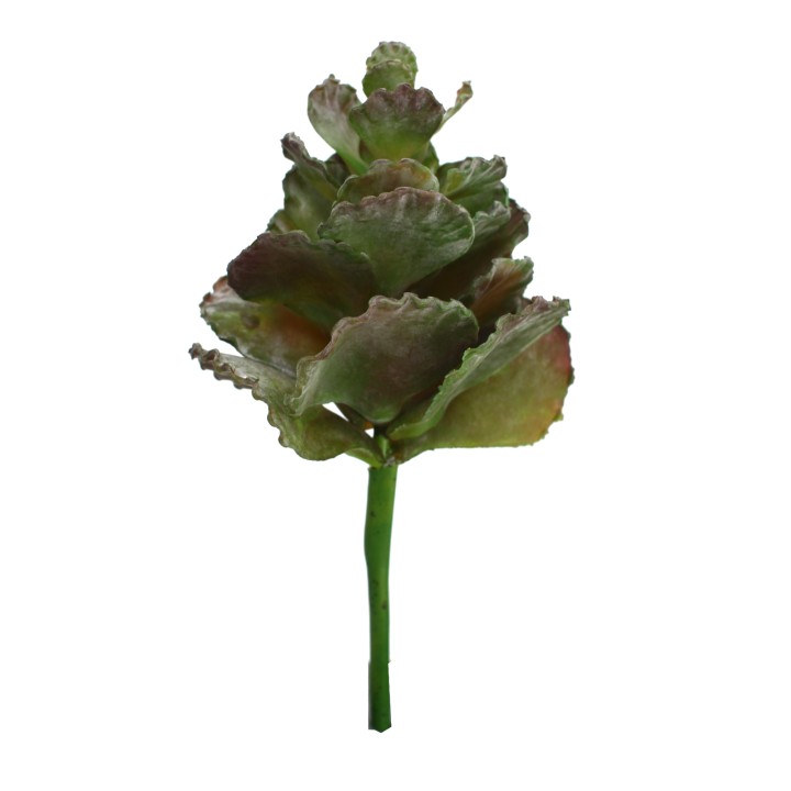 26CM SUCCULENT PICK GREEN