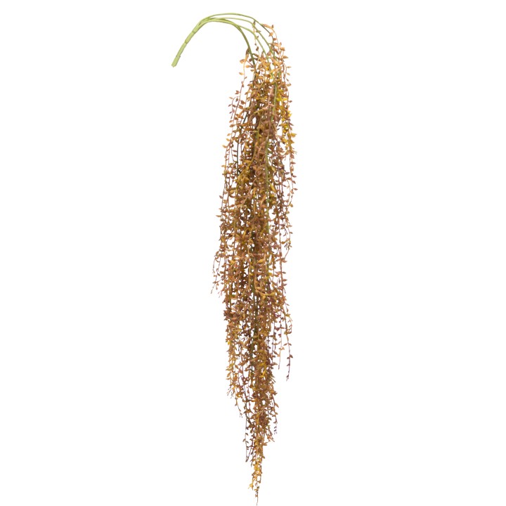 95CM SENECIO HANGING SPRAY