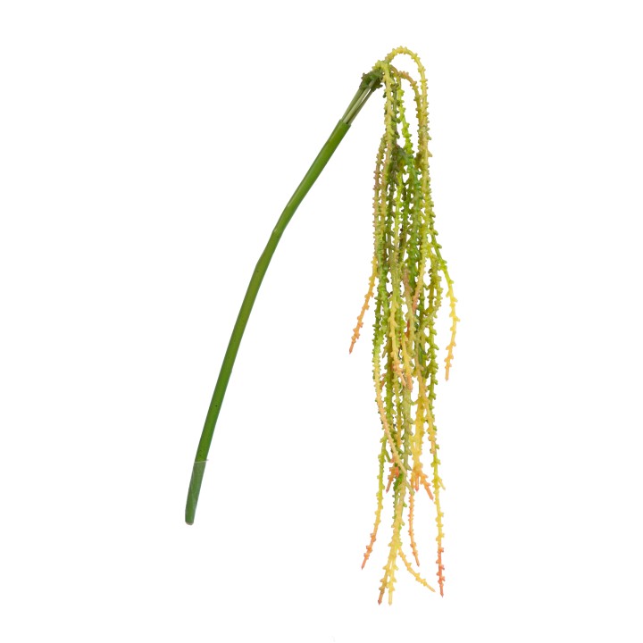 55CM TROPICAL HANGING GREEN