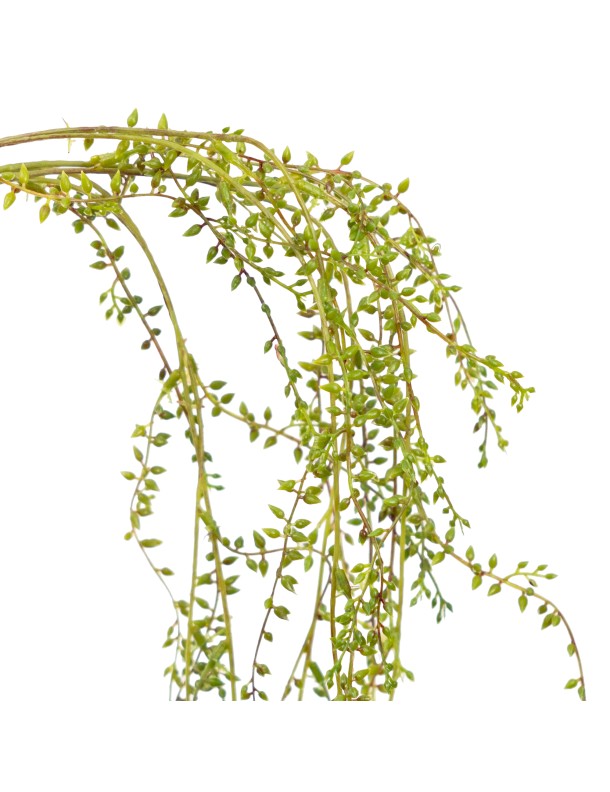 74CM CURLY WILLOW SPRAY