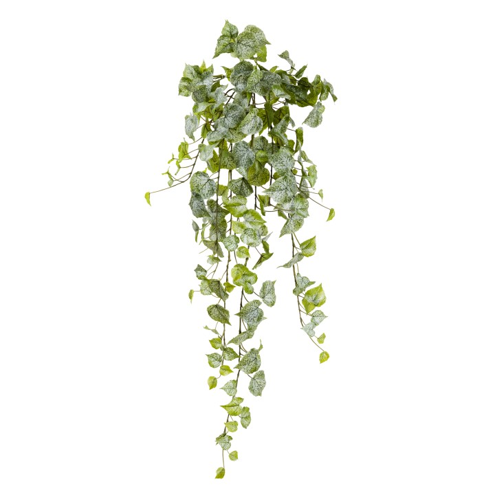 90CM COTTONWOOD HANGING BUSH