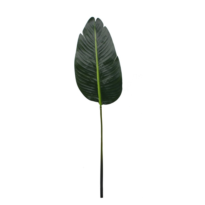 106CM TRAVELLERS PALM LEAF