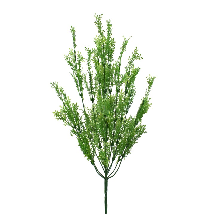 50CM SEED LEAF BUSH