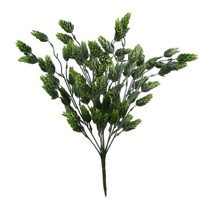 47CM HOPS BUSH