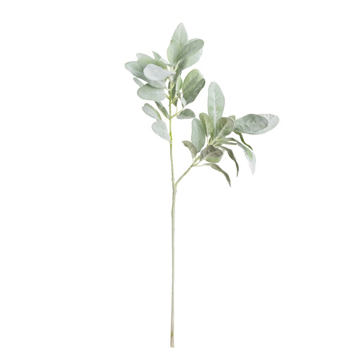 75CM LAMBS EAR SPRAY GREEN