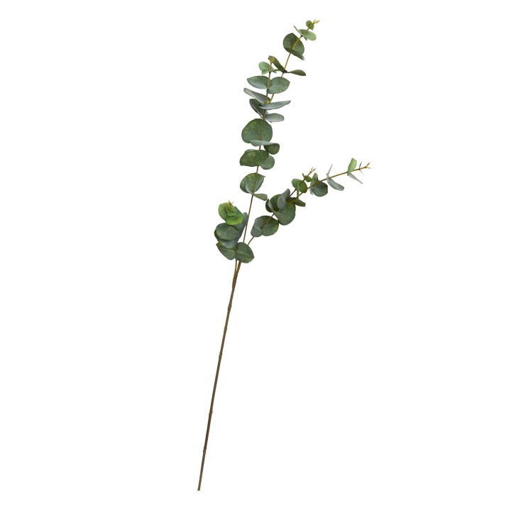 80CM EUCALYPTUS SPRAY GREEN