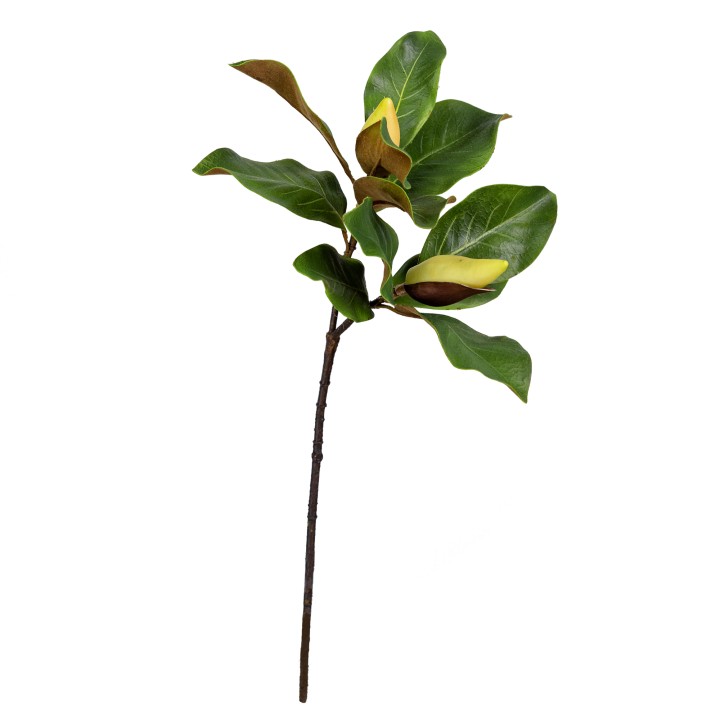 66CM REAL TOUCH MAGNOLIA BUD SPRAY CREAM