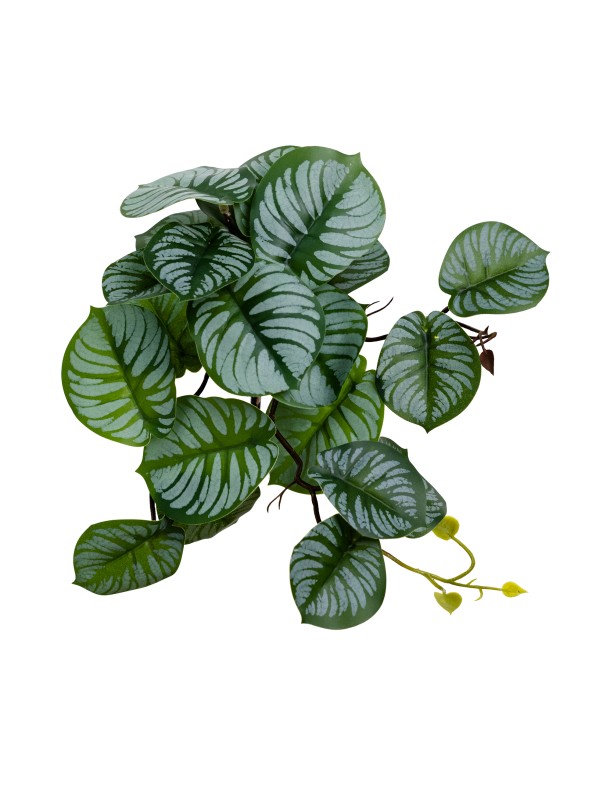 28CM REAL TOUCH CALATHEA BUSH
