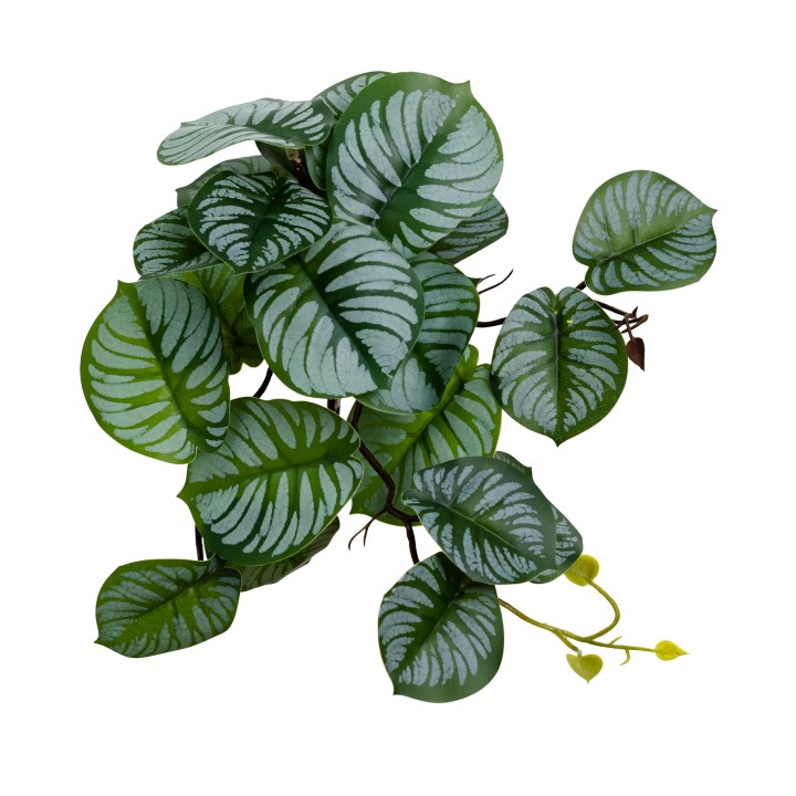 28CM REAL TOUCH CALATHEA BUSH