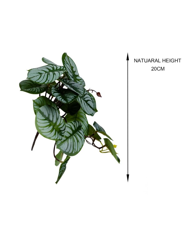 28CM REAL TOUCH CALATHEA BUSH