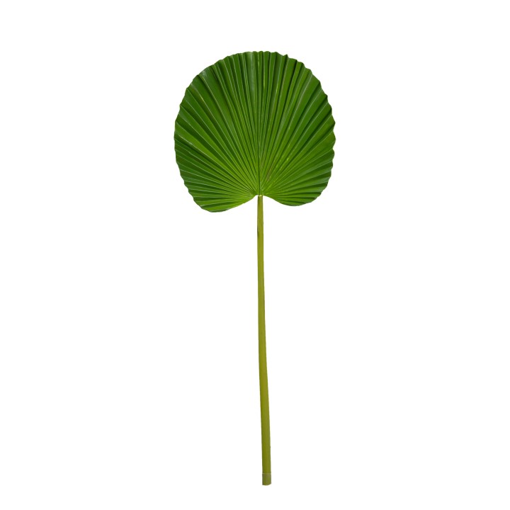 71CM SOFT TOUCH ROUND FAN PALM
