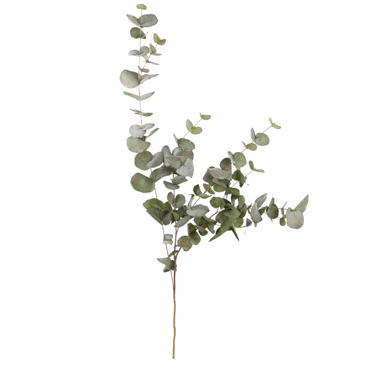 116CM EUCALYPTUS SPRAY 
