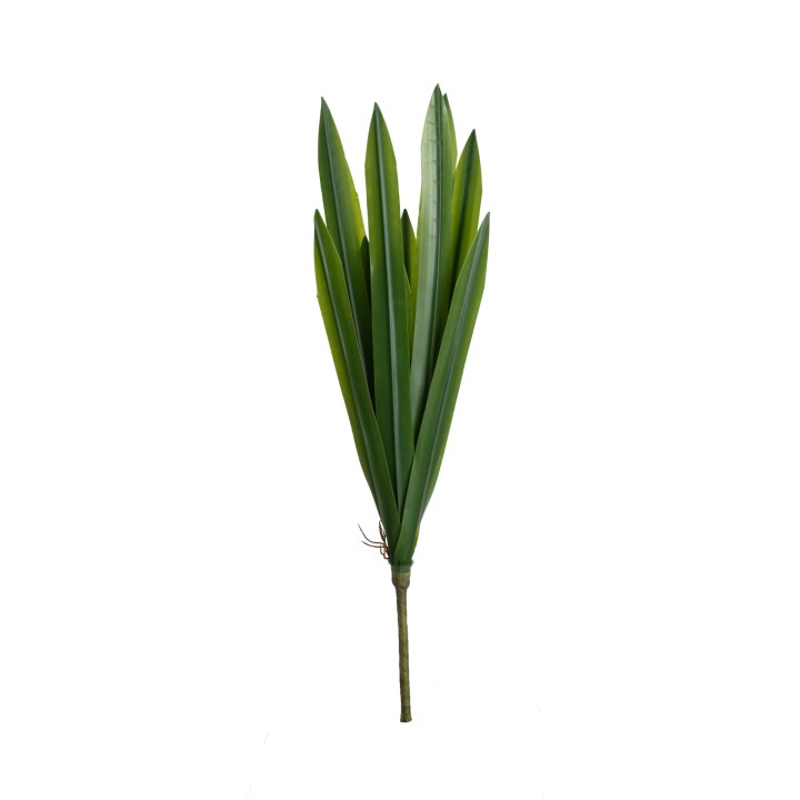 40CM CYMBIDIUM LEAF SPRAY - LAST 19 PIECES