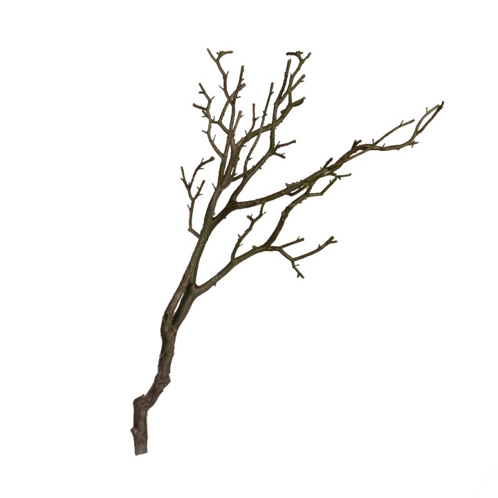 75CM REAL TOUCH TWIG SPRAY