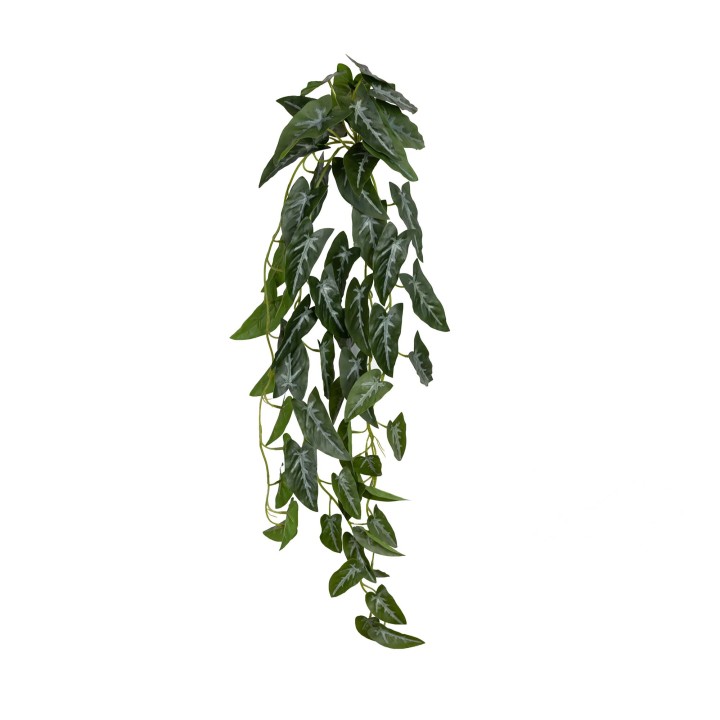 80CM REAL TOUCH SYNGONIUM HANGING BUSH