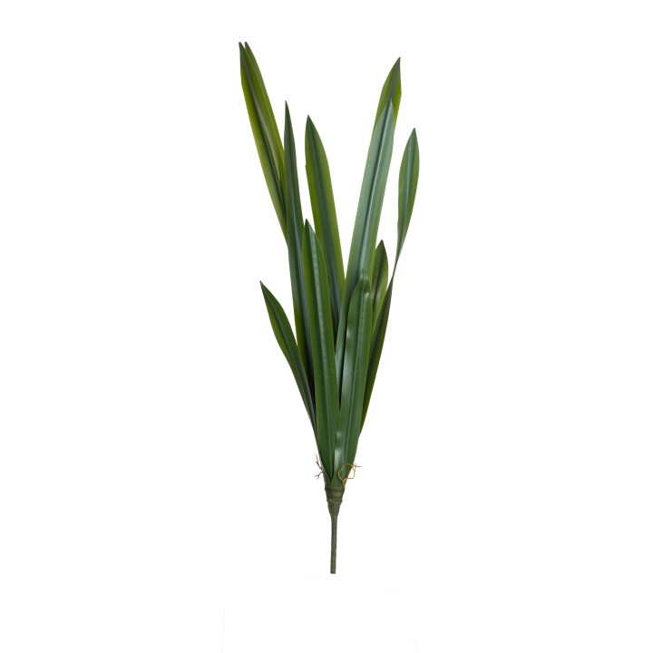 60CM REAL TOUCH CYMBIDIUM LEAF