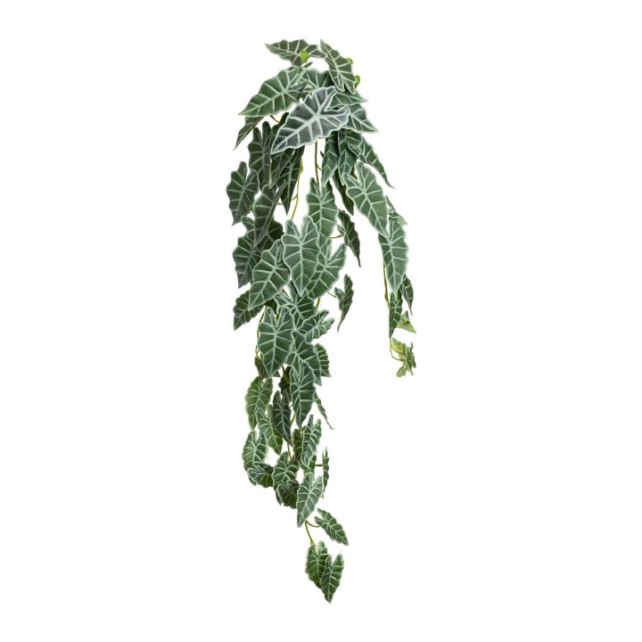 80CM REAL TOUCH ALOCASIA HANGING BUSH