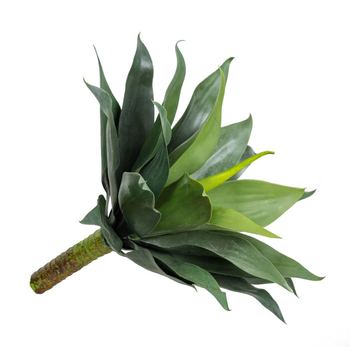 50CM LARGE AGAVE BUSH
