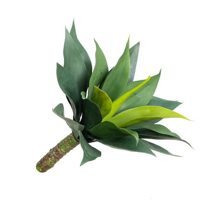 40CM MEDIUM AGAVE BUSH