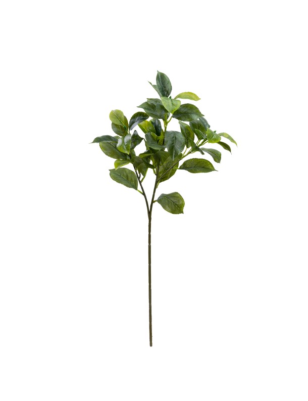 67CM REAL TOUCH CAMELLIA LEAF SPRAY