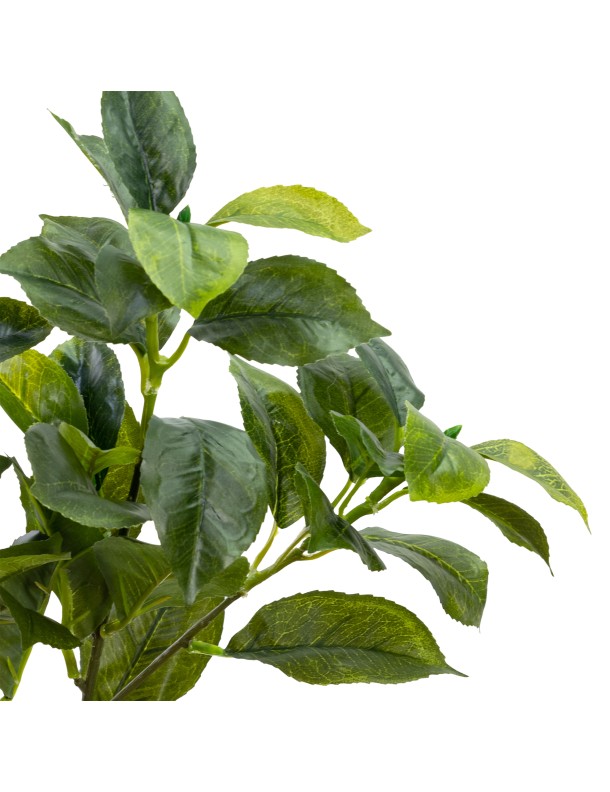 67CM REAL TOUCH CAMELLIA LEAF SPRAY