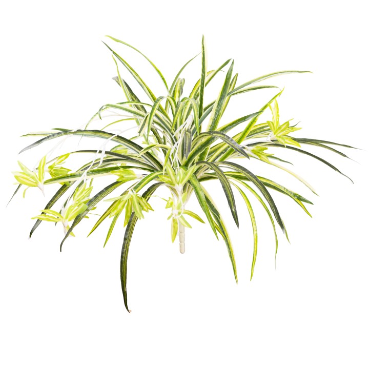 50CM REAL TOUCH SPIDER PLANT BUSH