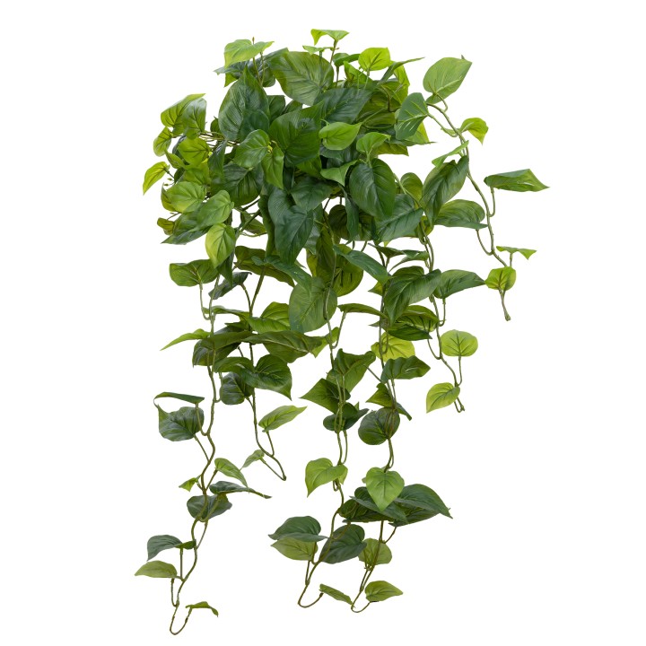 80CM PHILO HANGING BUSH