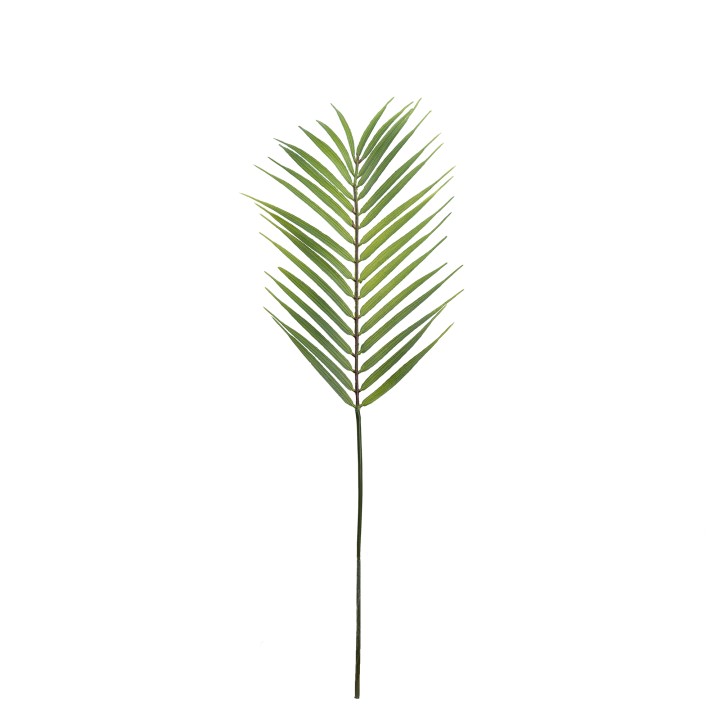 66CM BUTTERFLY PALM LEAF DARK GREEN