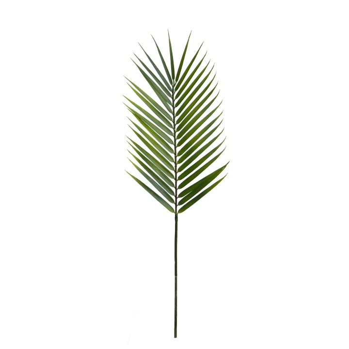 70CM BUTTERFLY PALM LEAF DARK GREEN