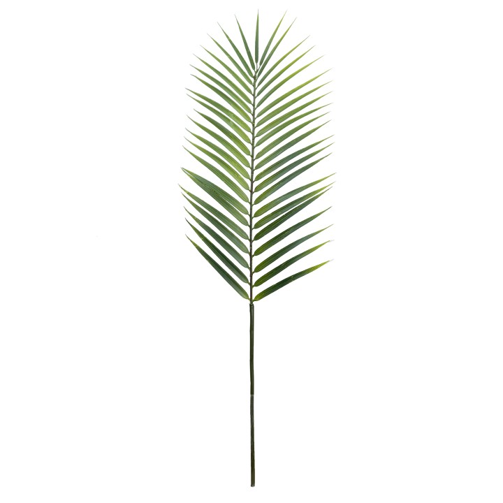 80CM BUTTERFLY PALM LEAF DARK GREEN