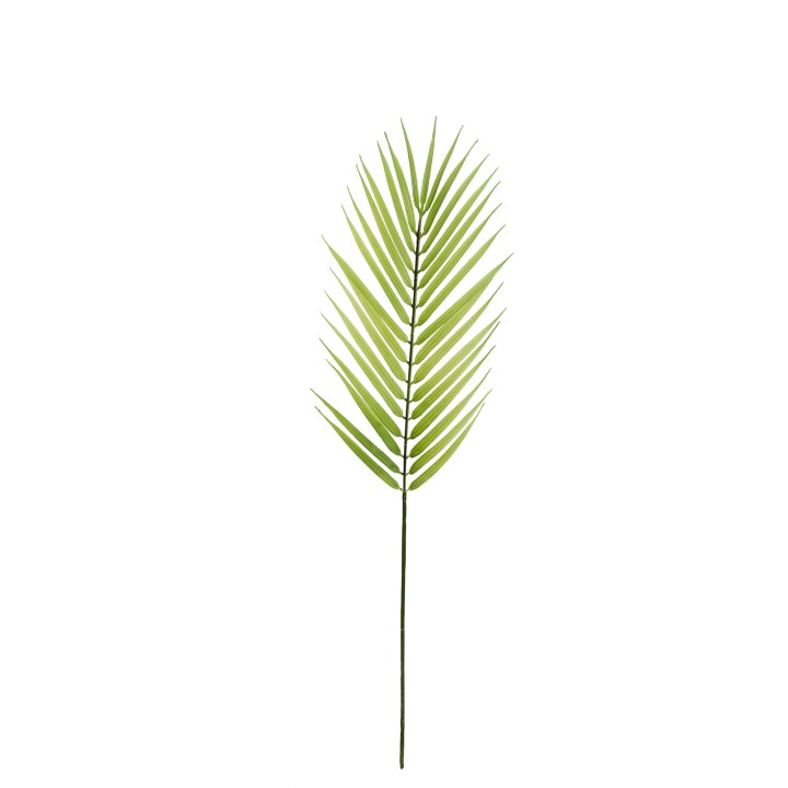 66CM BUTTERFLY PALM LEAF LIGHT GREEN