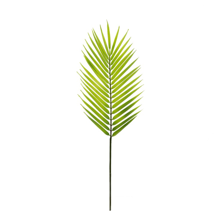 70CM BUTTERFLY PALM LEAF LIGHT GREEN