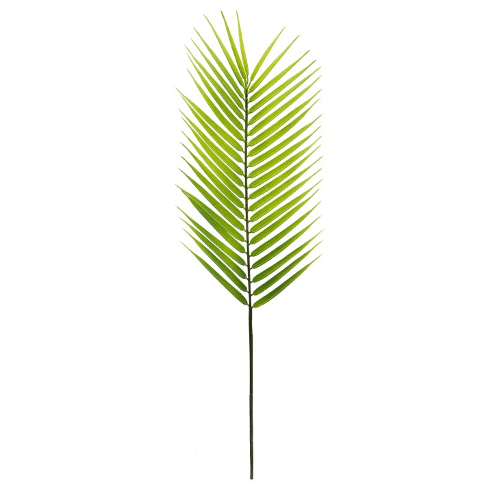 80CM BUTTERFLY PALM LEAF LIGHT GREEN