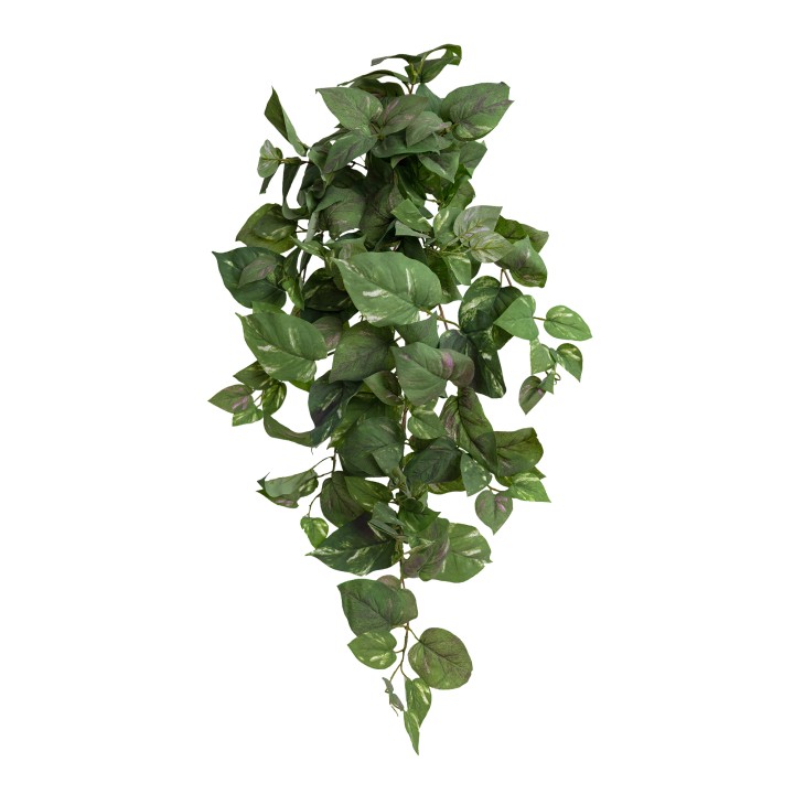85CM POTHOS HANGING BUSH