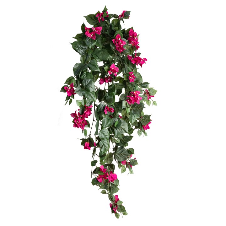105CM DELUX BOUGAINVILLEA BUSH
