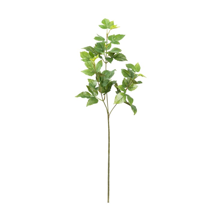 55CM MAPLE IVY SPRAY